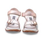 Hispanitas Chv Multi