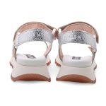 Hispanitas Chv Multi