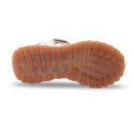 Hispanitas Chv Multi