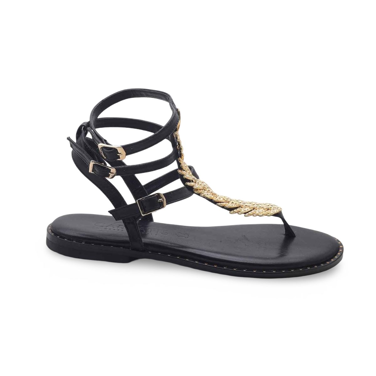 Caryatis Parrot Black