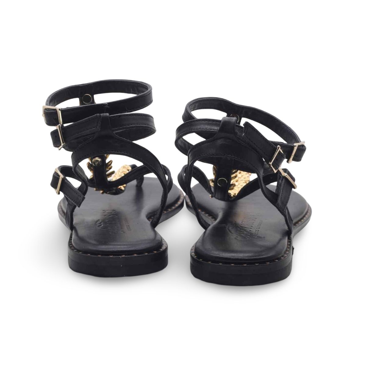 Caryatis Parrot Black