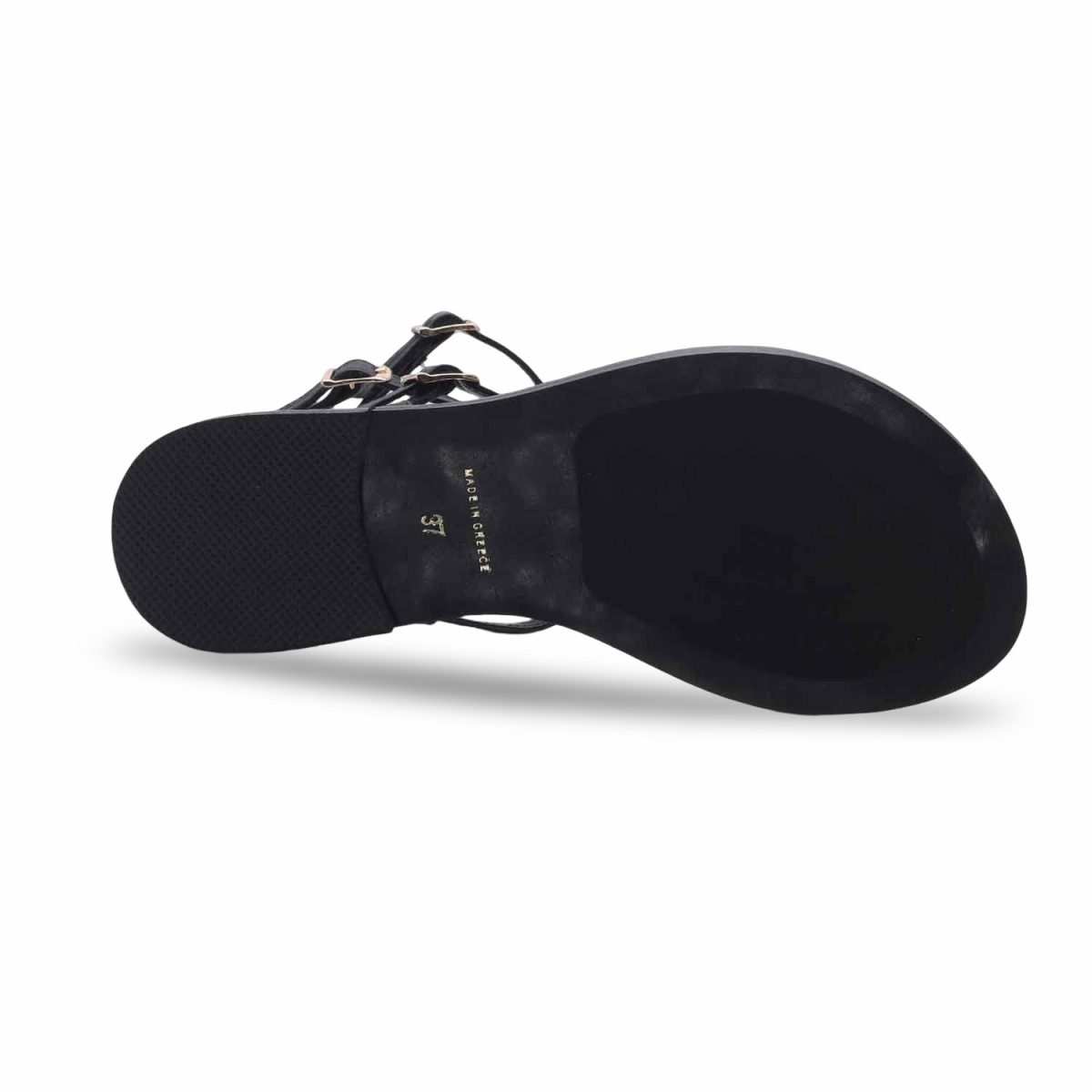 Caryatis Parrot Black