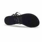 Caryatis Parrot Black